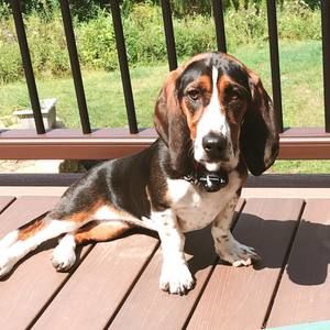 Meet your Posher, Kathryn